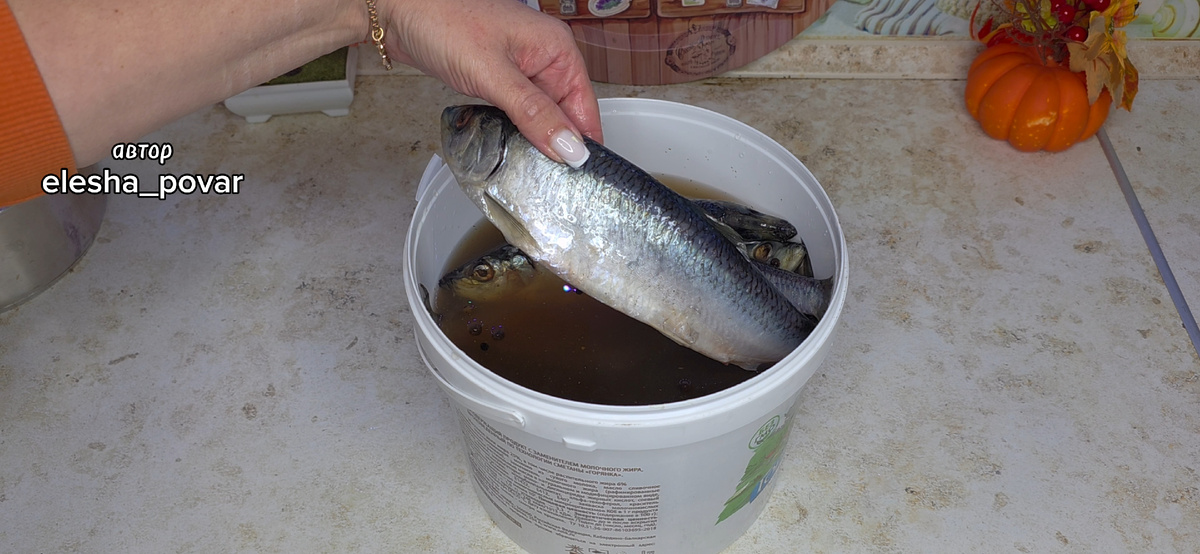 Фото elesha_povar