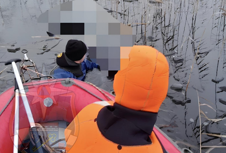 фото: t.me/acclenobl