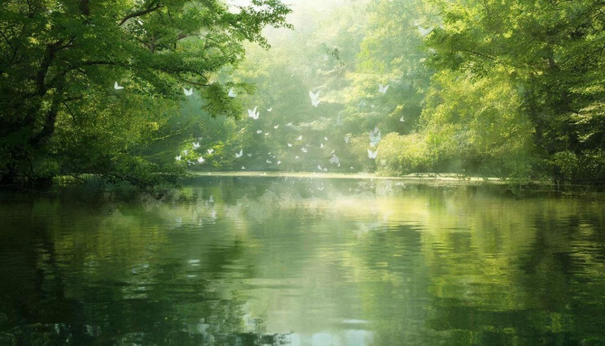 Связь с природой помогает пережить бесценный опыт познания истинного Я.