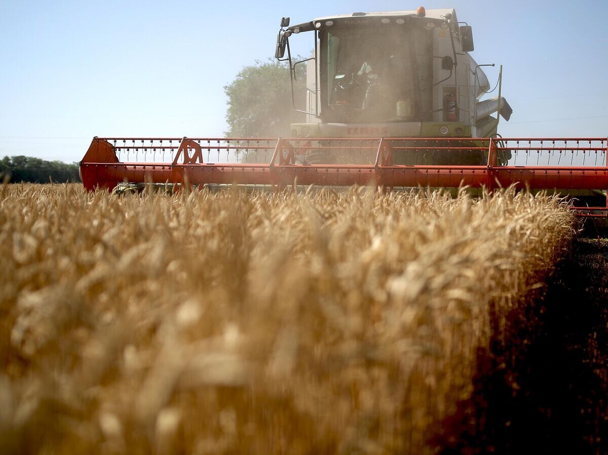    Уборка урожая зерновых© РИА Новости . Виталий Тимкив
