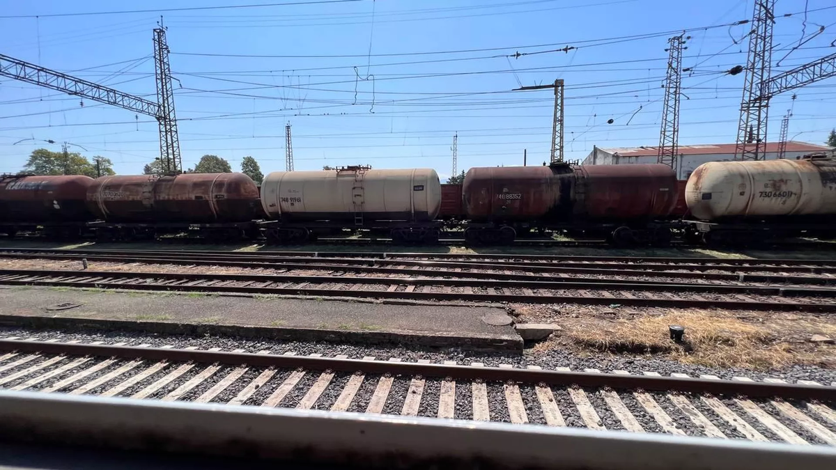 © photo: Sputnik / Stringer