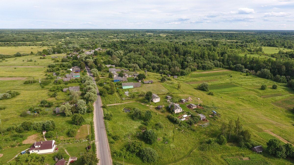 фото из открытого доступного источника сети интернет