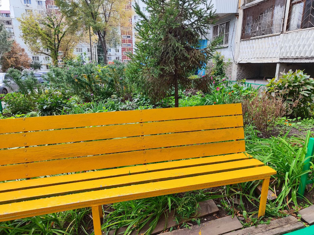 Фото автора.