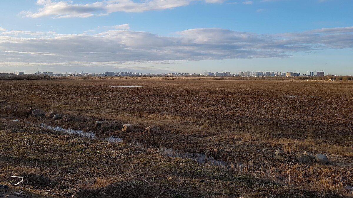    Фото: wikimedia.org/Bochenbo; CC BY-SA 4.0