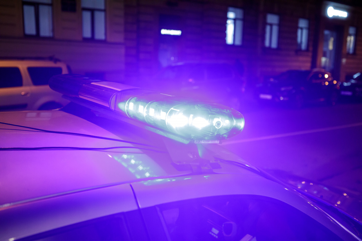 Фото: Роман Пименов