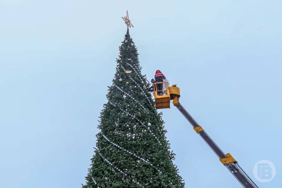    Фото: Дмитрий Рогулин / "Городские вести"