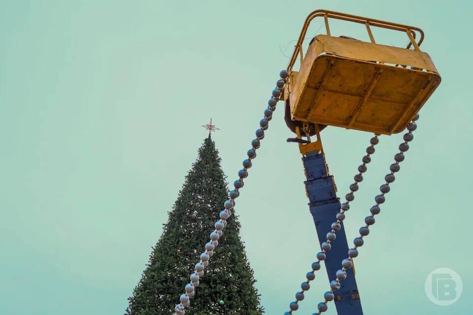    Фото: Дмитрий Рогулин / "Городские вести"