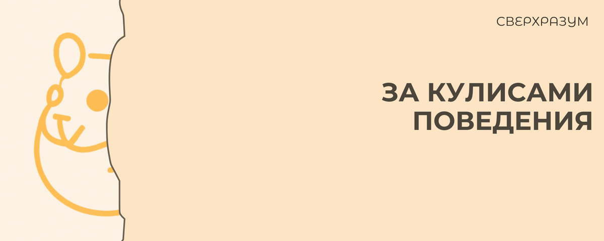 Каждое решение, желание, потребность возникает не из пустоты: их рождают инстинкты, опыт и мгновенные телесные реакции. Это не свободный выбор, а слаженная работа невидимых механизмов.