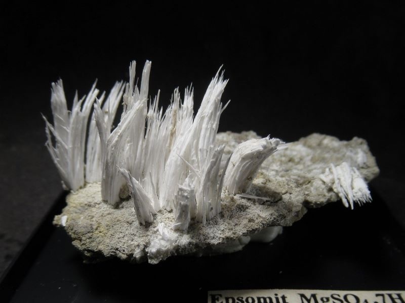 Кристаллы эпсомита MgSO4 · 7H2O, 7х4х3 см. Испания. Фото: взято из en.wikipedia.org