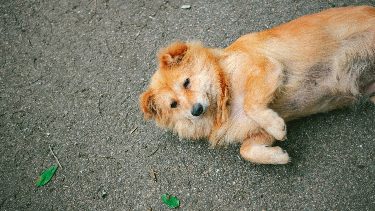    Школьники всего за несколько дней смогли собрать внушительное количество корма