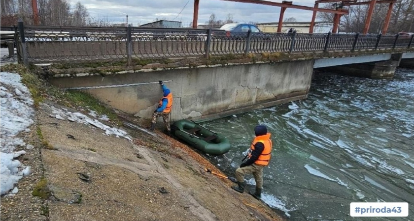    Фото министерства охраны окружающей среды Кировской области