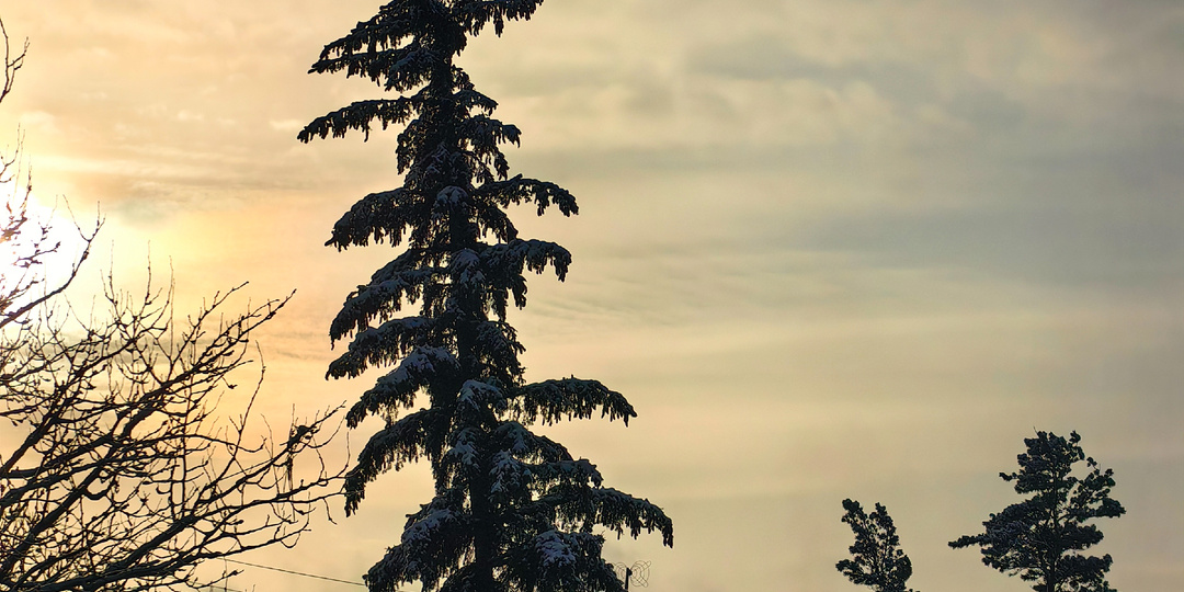 Мои зимние зарисовки: радости морозных дней!