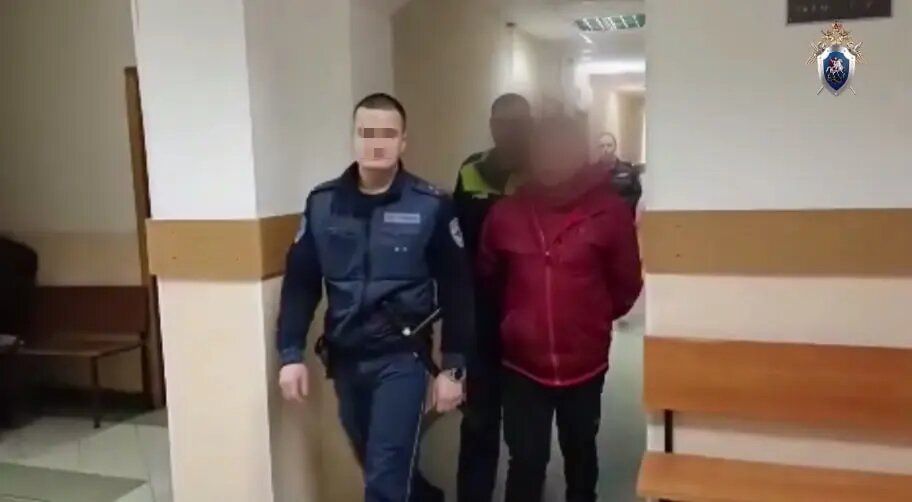    Фото: скриншот из видео пресс-службы СУ СК России по Ленобласти.