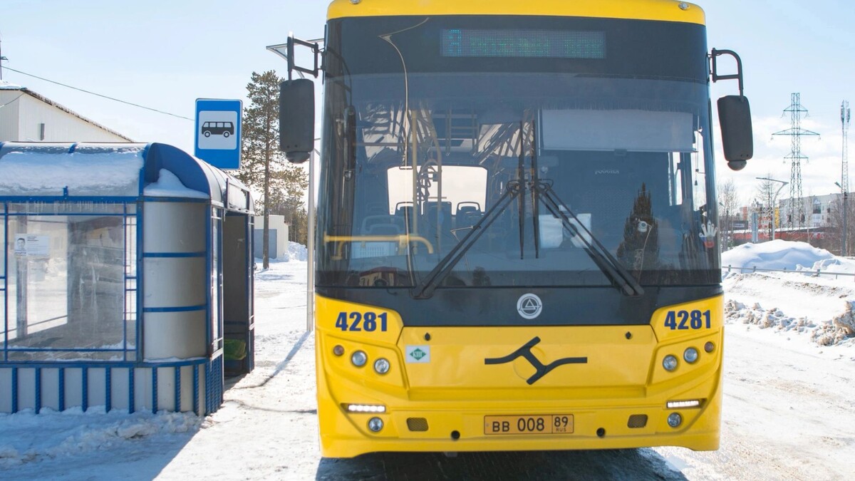    Фото: Юрий Здебский/«Ямал-Медиа»