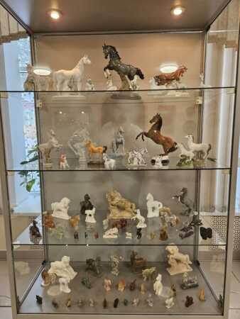 Листайте вправо, чтобы увидеть больше изображений