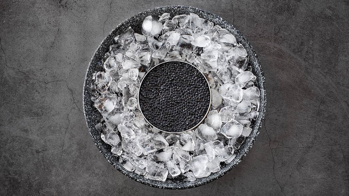    Фото: Shutterstock