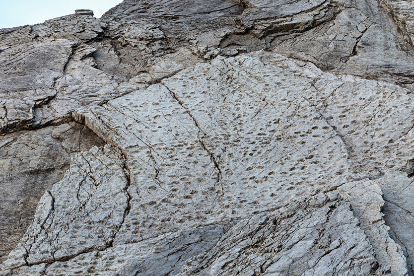     Фото: Zuma / TASS