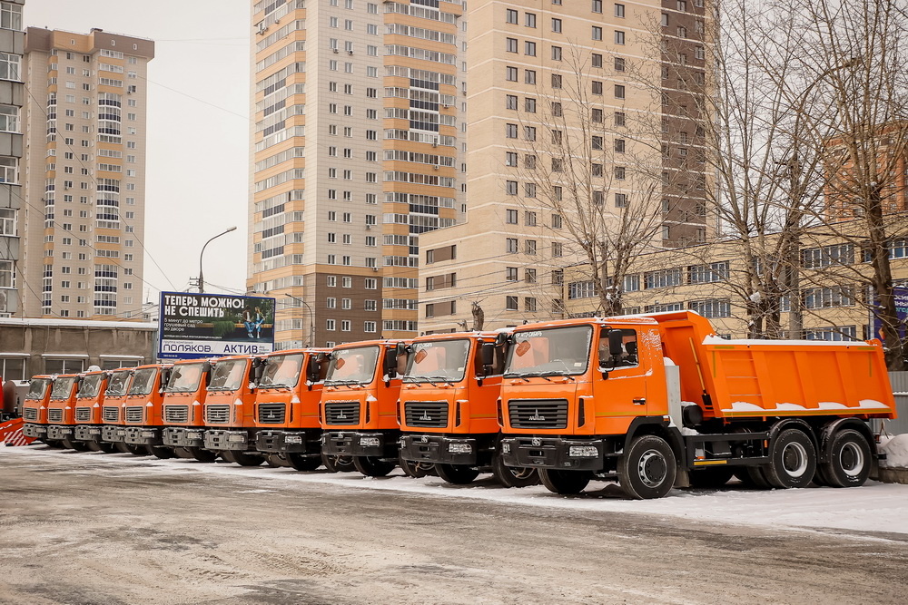    Фото: Ростислав Нетисов, nsknews.info