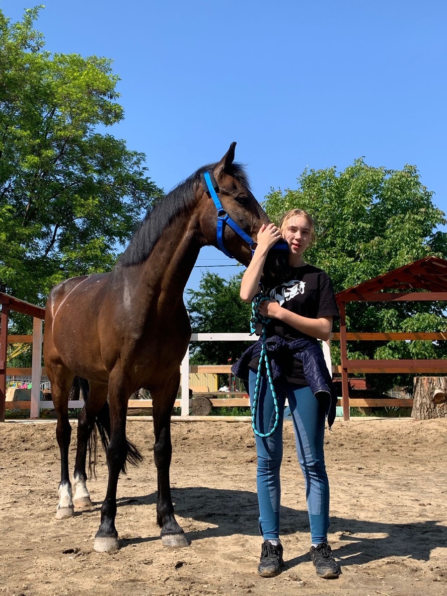 На второй день после покупки коня 💞