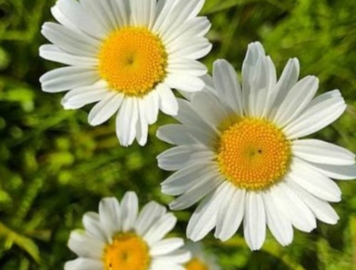 Судьбу не обойдешь