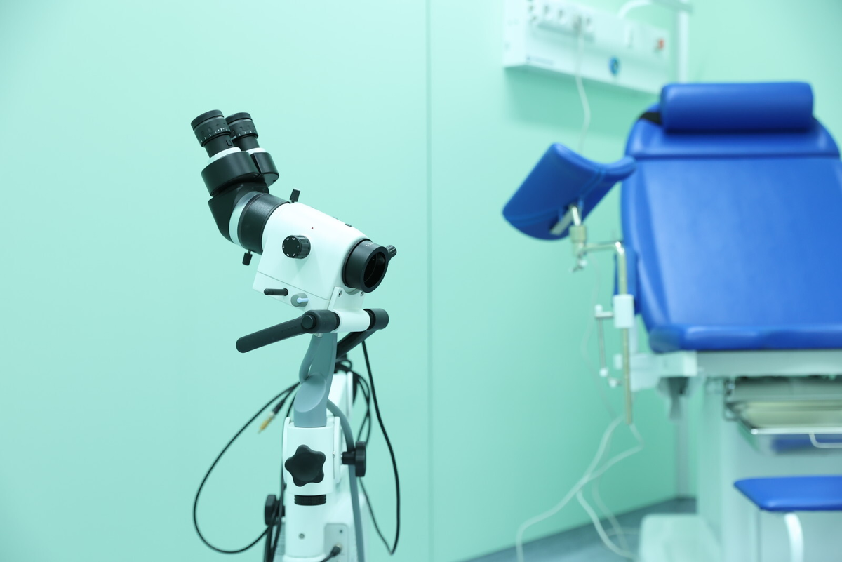 Фото: Дмитрий Фуфаев / «Петербургский дневник»