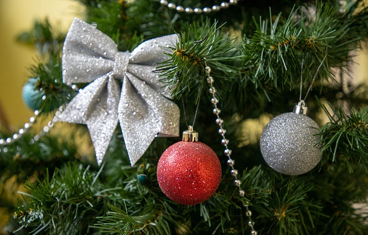 Фото: Тульская служба новостей