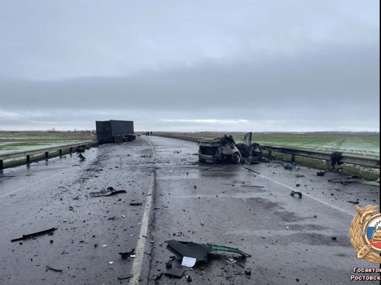     Фото: Госавтоинспекция Ростовской области