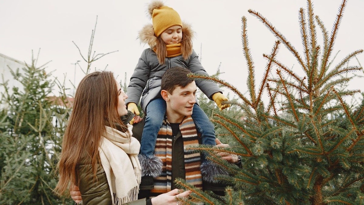 Источник: ru.freepik.com
