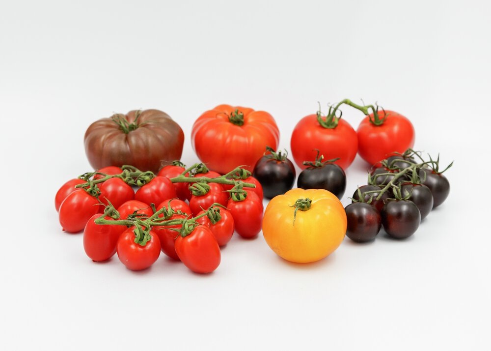 Фото: как выбрать сорт томатов среди огромного разнообразия?