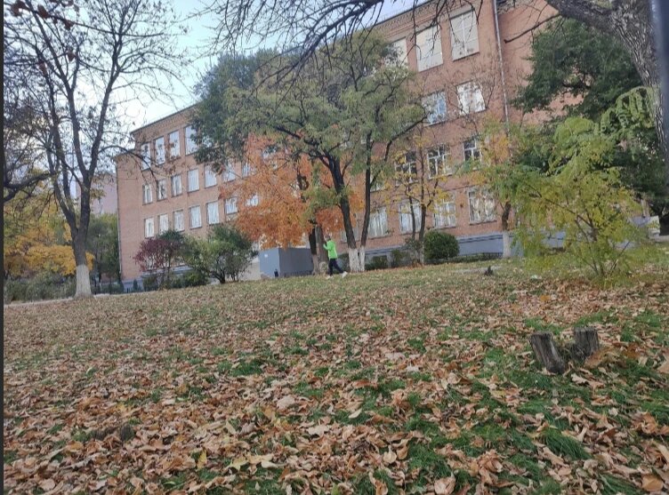    Фото: Яндекс-карты