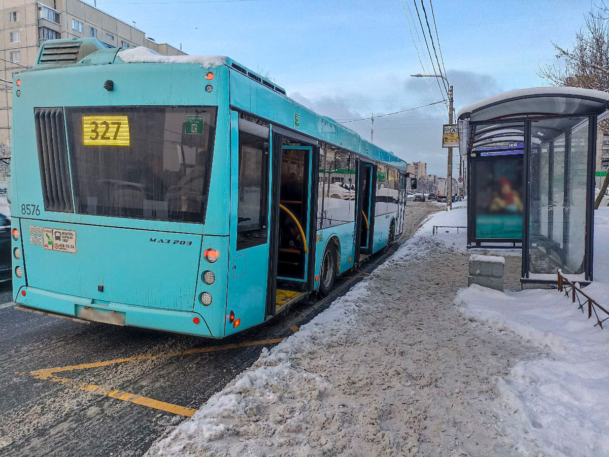 Ленинградцам напомнили правила оплаты проезда в общественном транспорте.  Фото: Фото: ФедералПресс / Татьяна Буторина