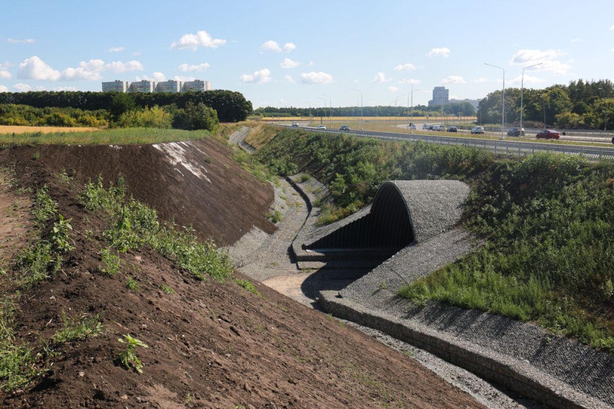    Фото: администрации Воронежа