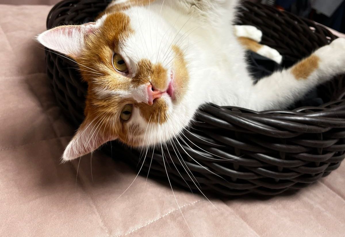 Нормальный у меня характер, просто привыкнуть надо