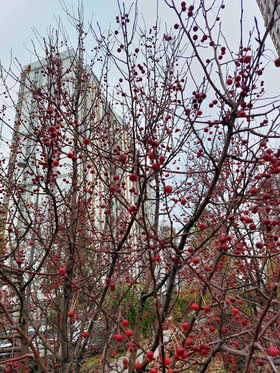 Фото автора статьи