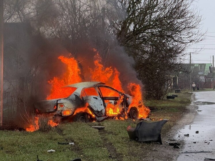     Фото: телеграм-канал "Настоящий Гладков"