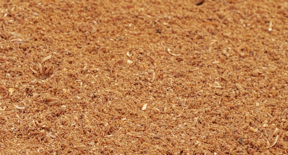 ЛДСП, запах новой мебели и окромление деталей: что важно знать покупателям кухонь Виват