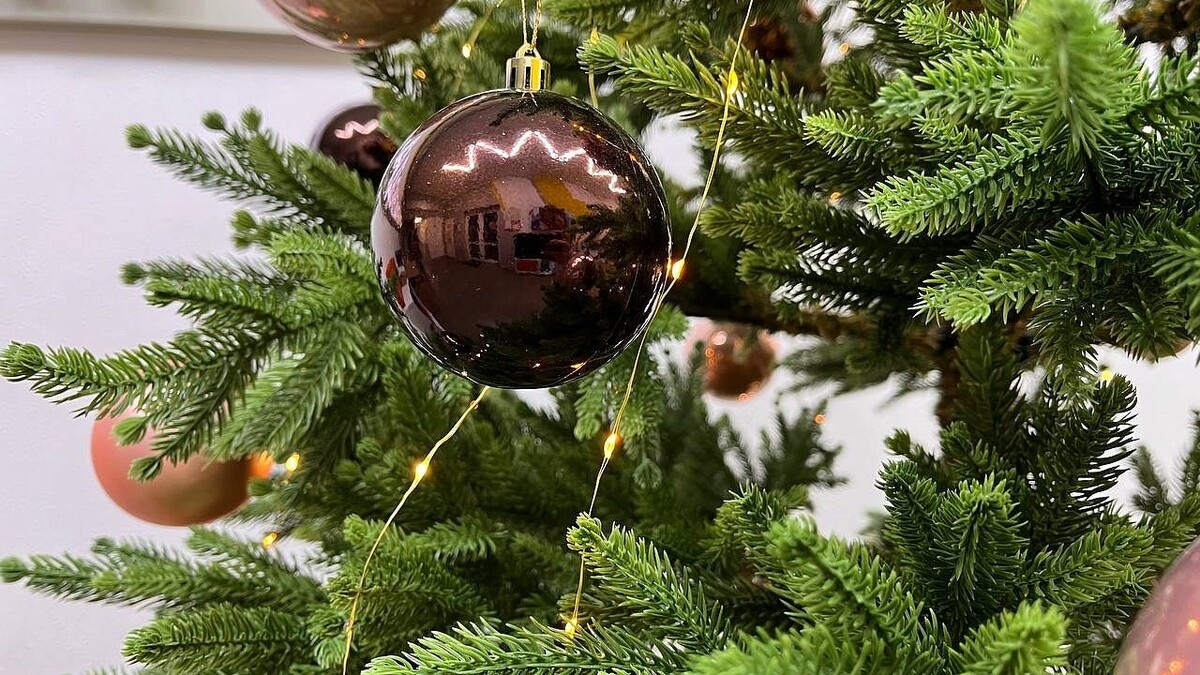    Фото: телеканал «Краснодар»