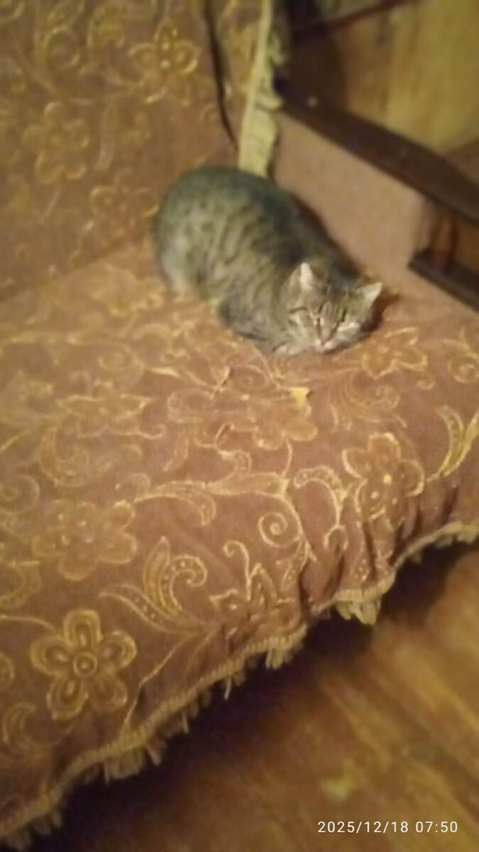 Вот так теперь!