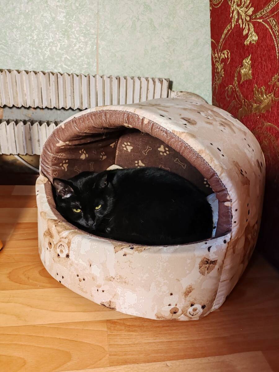 И ещё у Тая есть вот такой домик