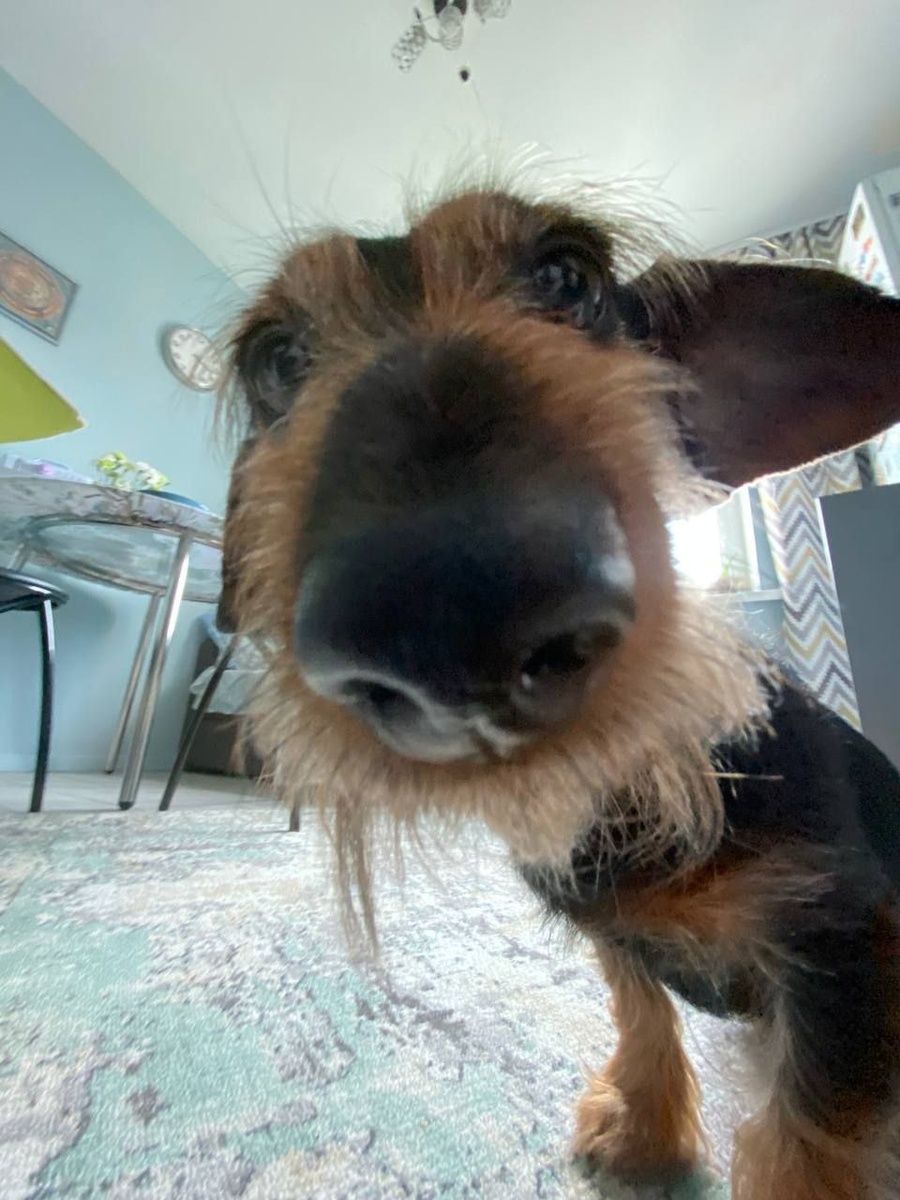 Фото: Лев Михеенко