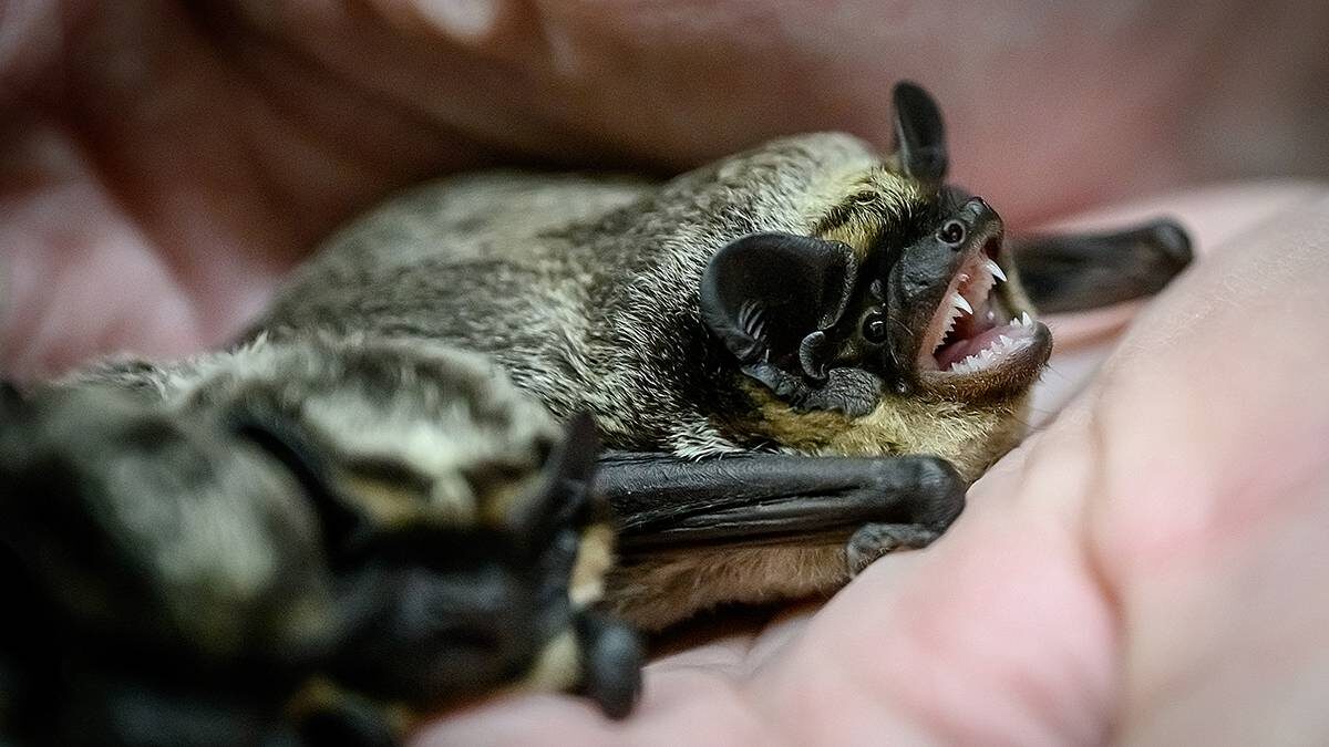    Фото: Дмитрий Дубинский / Вечерняя Москва