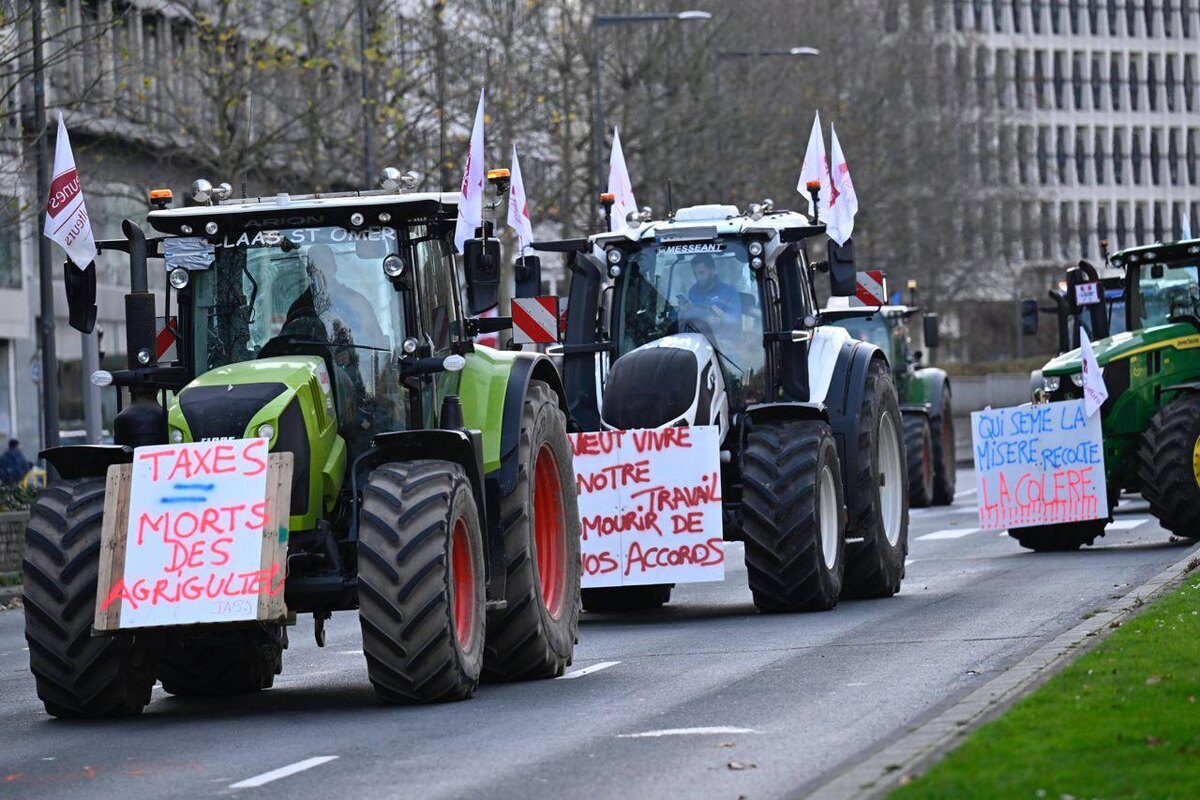    «Прекрасное решение Урсулы» собрало тысячи фермеров из 27 стран ЕС на акцию протеста в Брюсселе