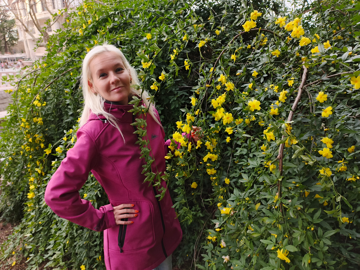 А у нас в Сочи вовсю цветёт жёлтый жасмин Месни. Зима цветёт и пахнет! :) Фото автора