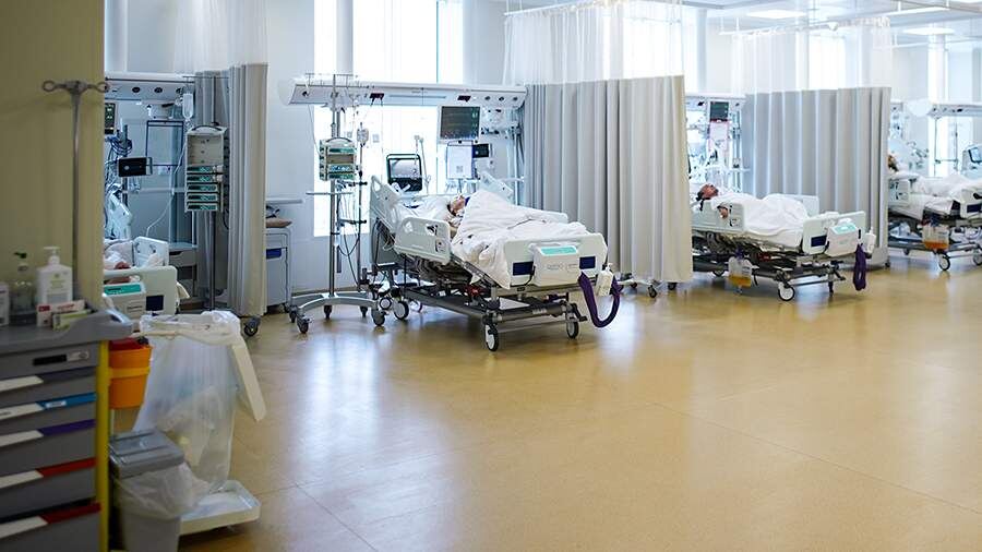    Фото: ИЗВЕСТИЯ/Сергей Лантюхов