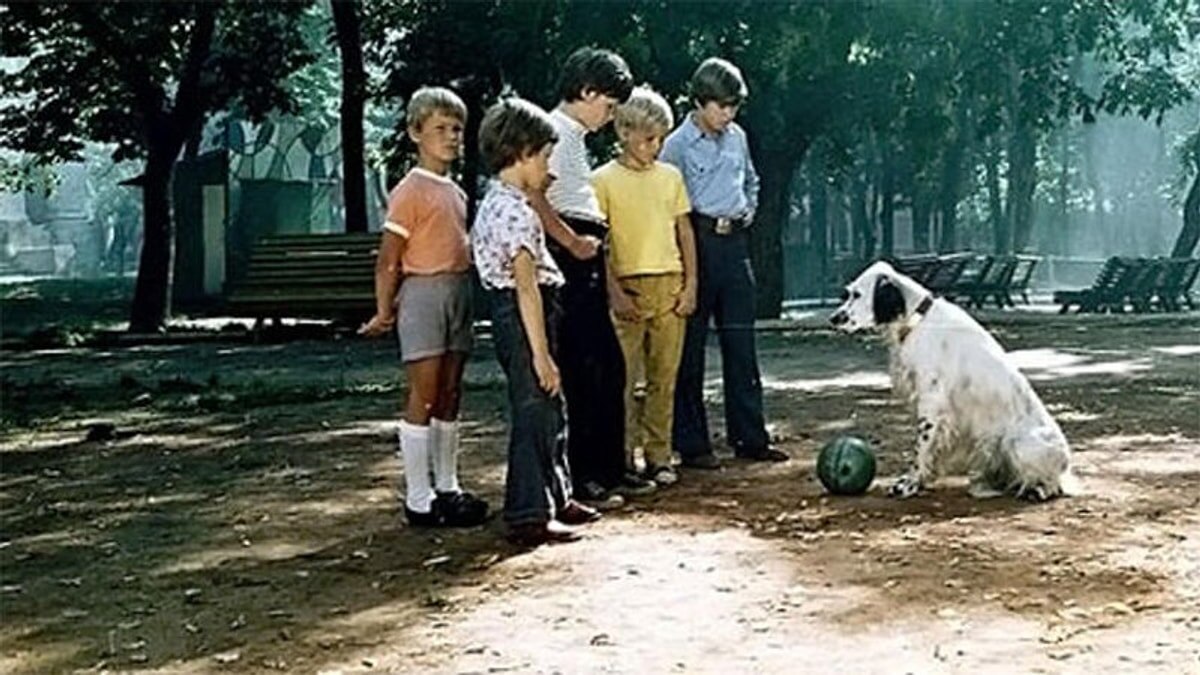 Кадр из фильма