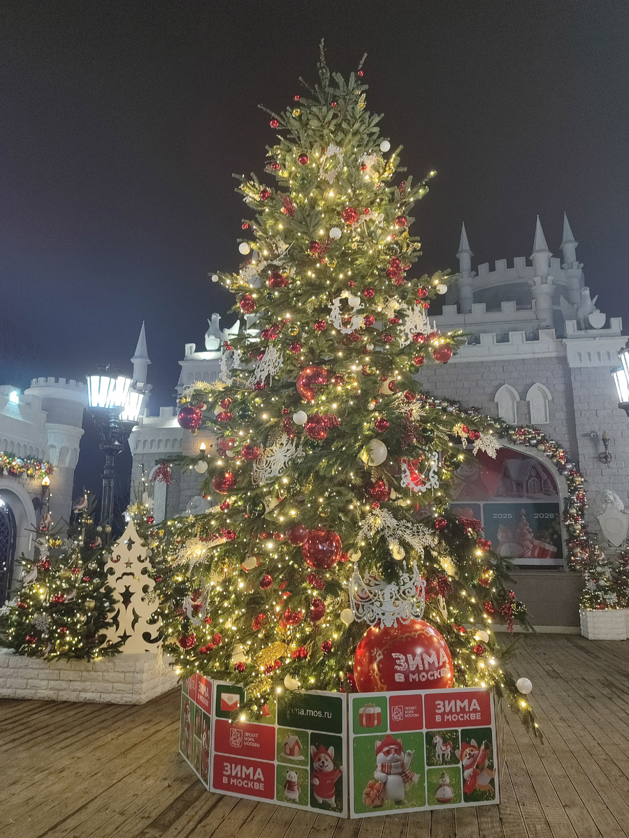 Фото для иллюстрации, наша елочка в парке 