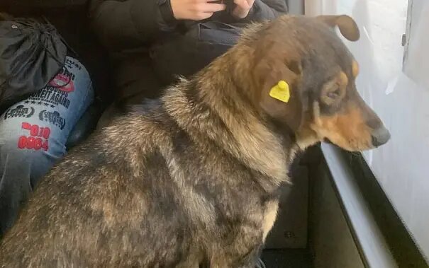    Фото: saratov24.tv