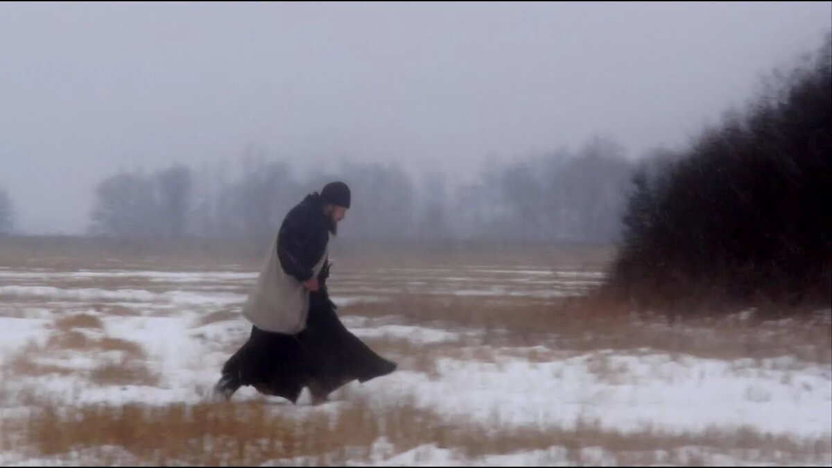 фото из открытого доступного источника сети интернет