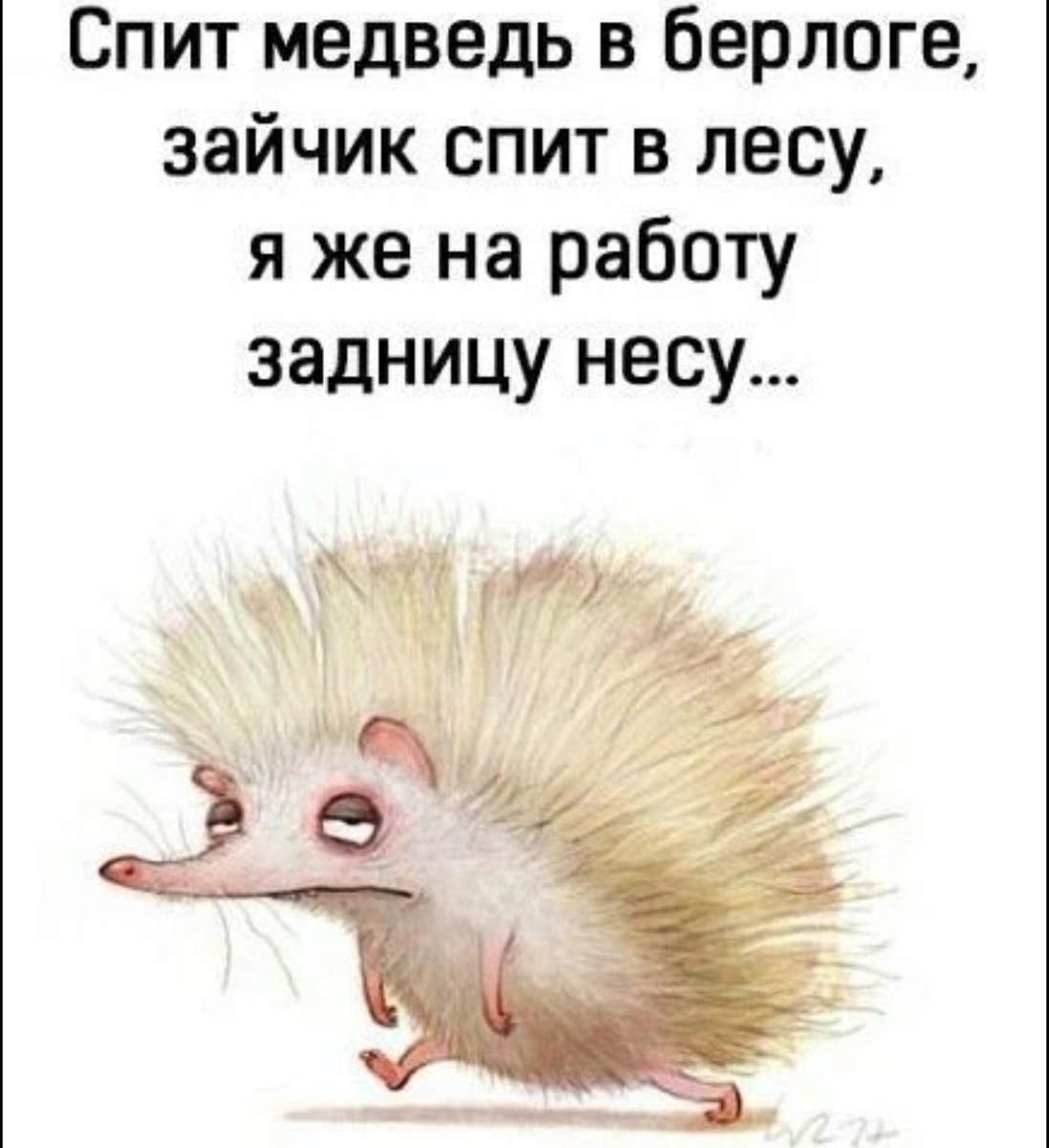 Фото из свободного источника