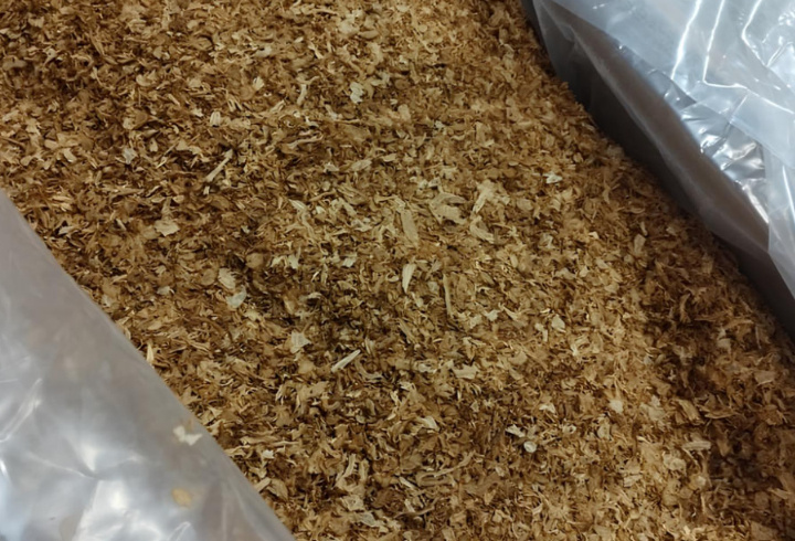 фото: Пресс-служба Северо-Западного межрегионального управления Россельхознадзора